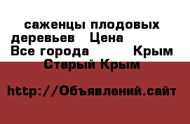 саженцы плодовых деревьев › Цена ­ 6 080 - Все города  »    . Крым,Старый Крым